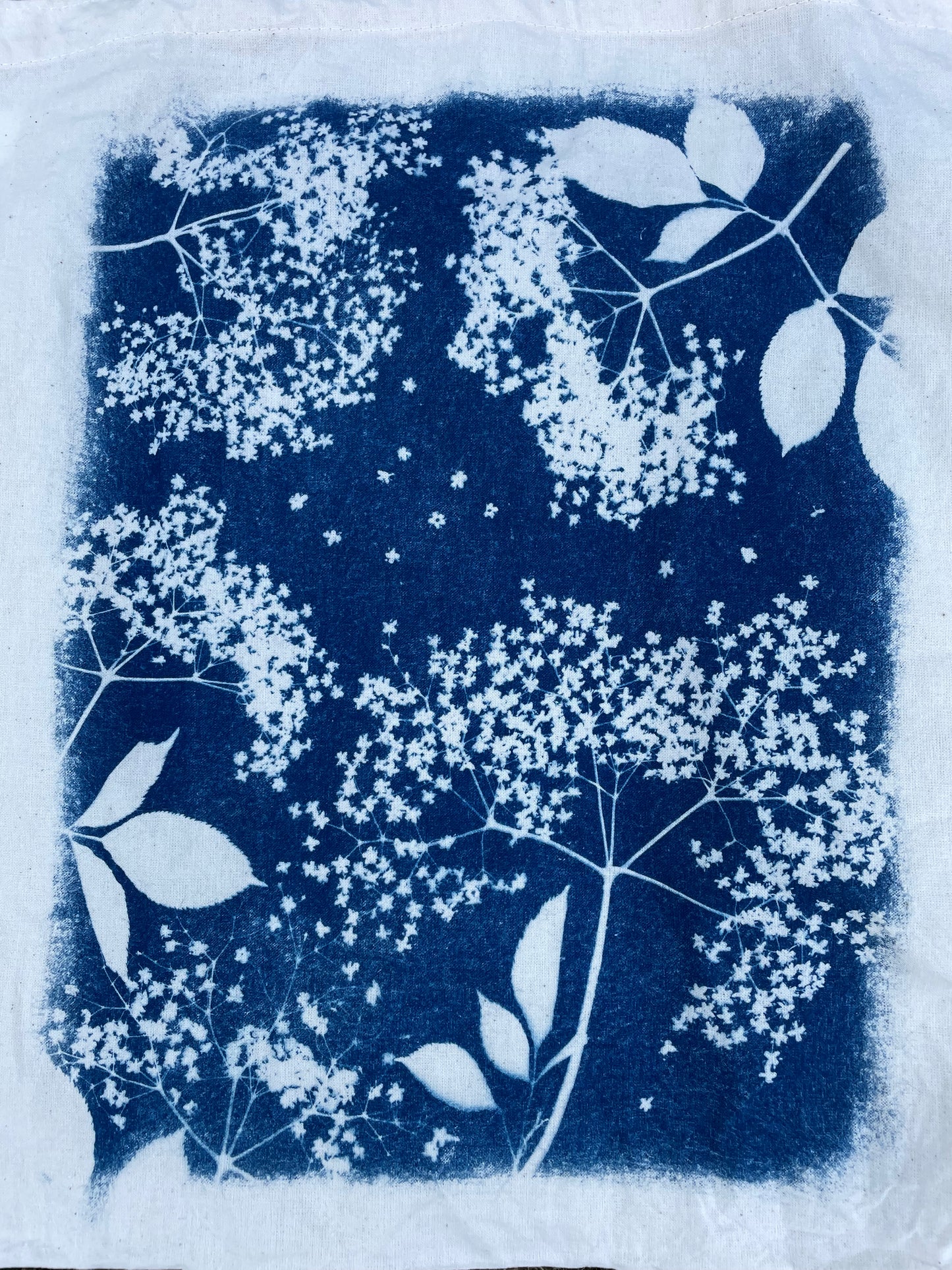 Elderberry flowers Tote Bag