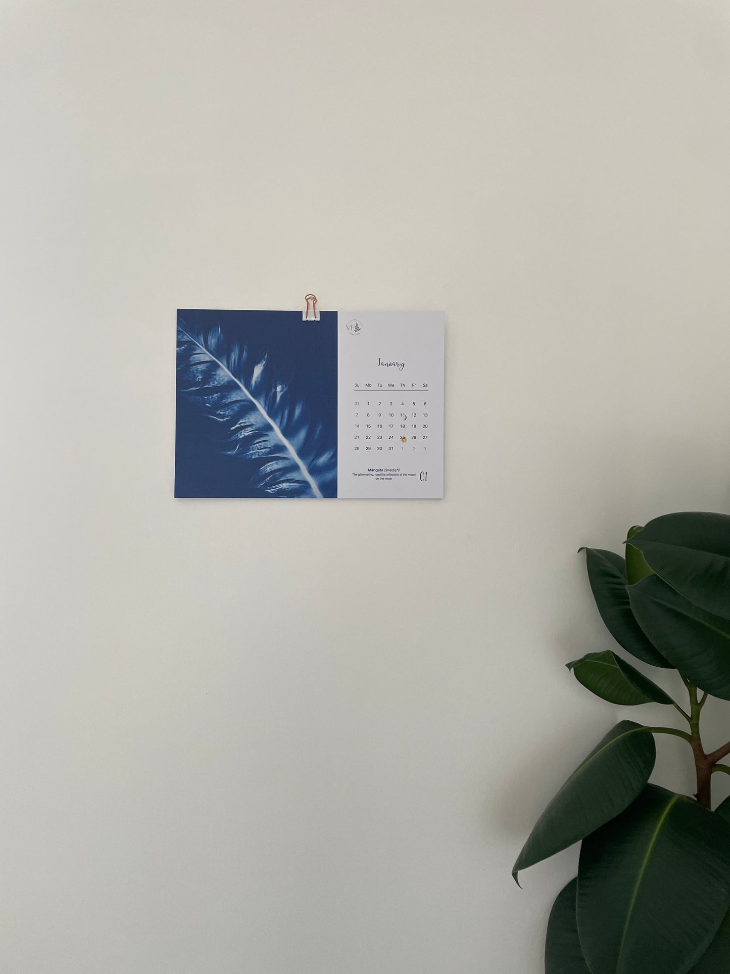 Calendrier de cyanotypes 2024