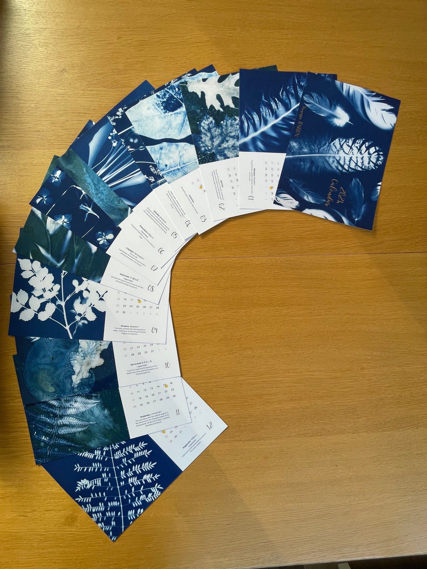 Calendrier de cyanotypes 2024