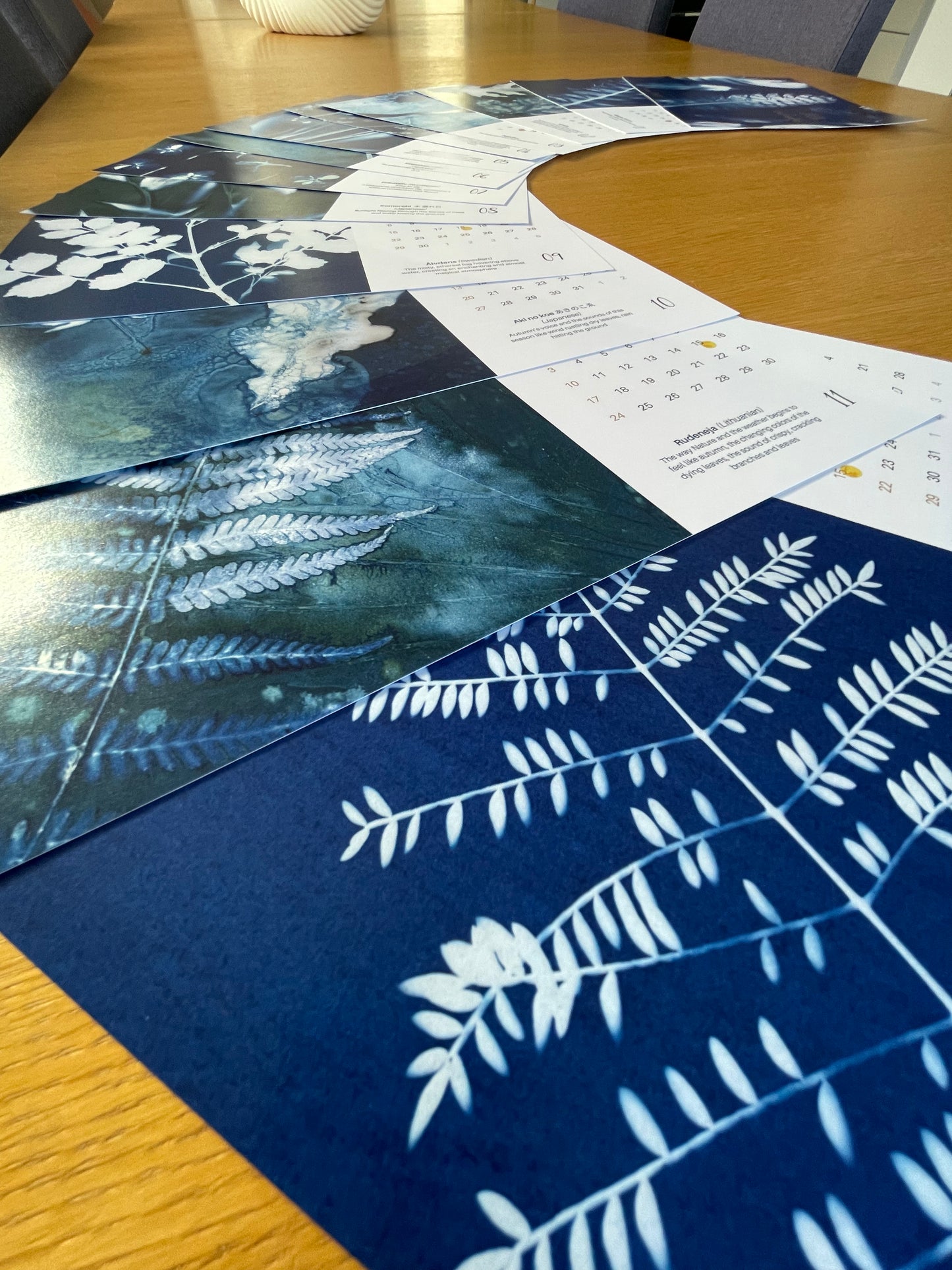 Calendrier de cyanotypes 2024