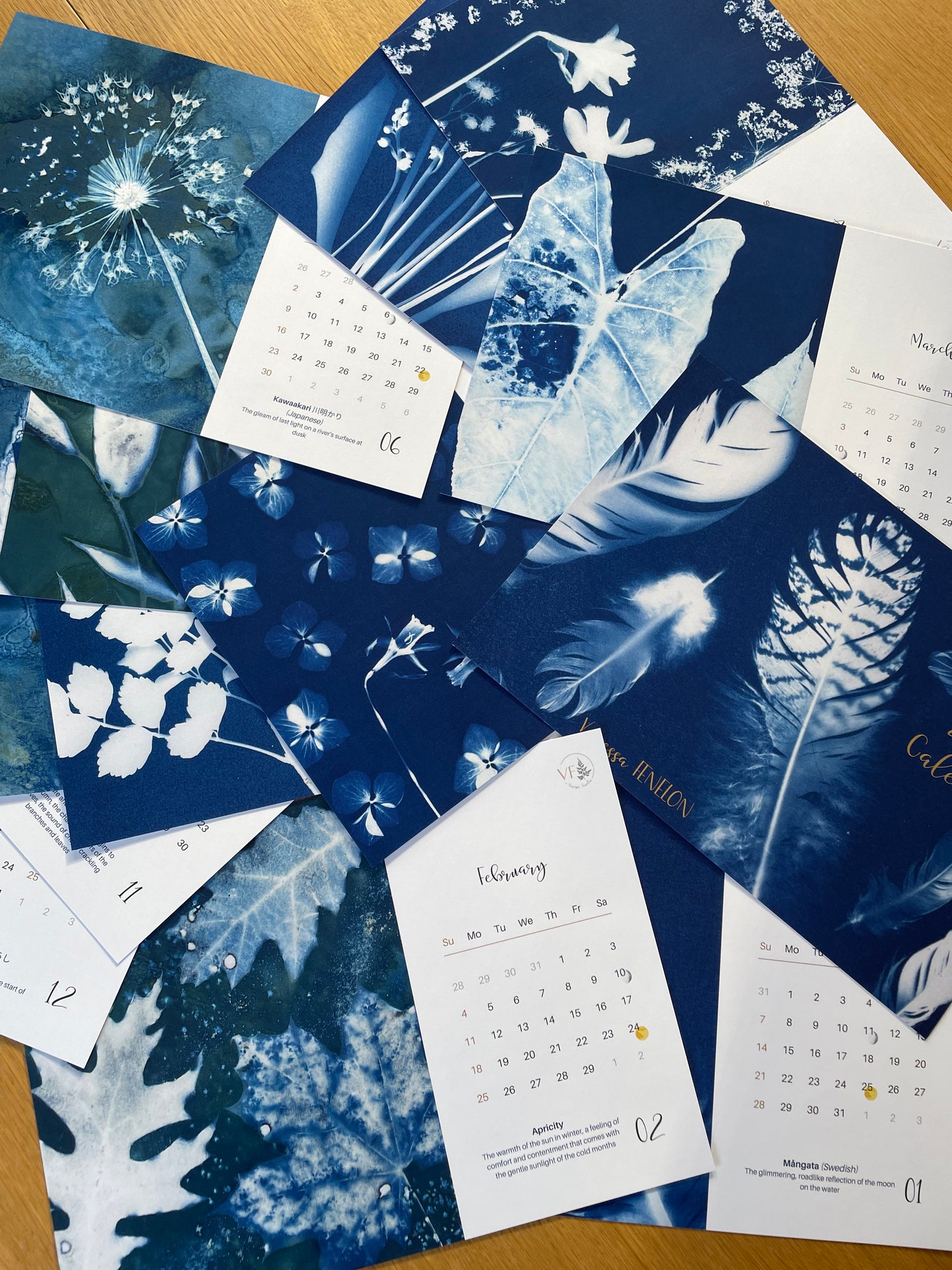 Calendrier de cyanotypes 2024