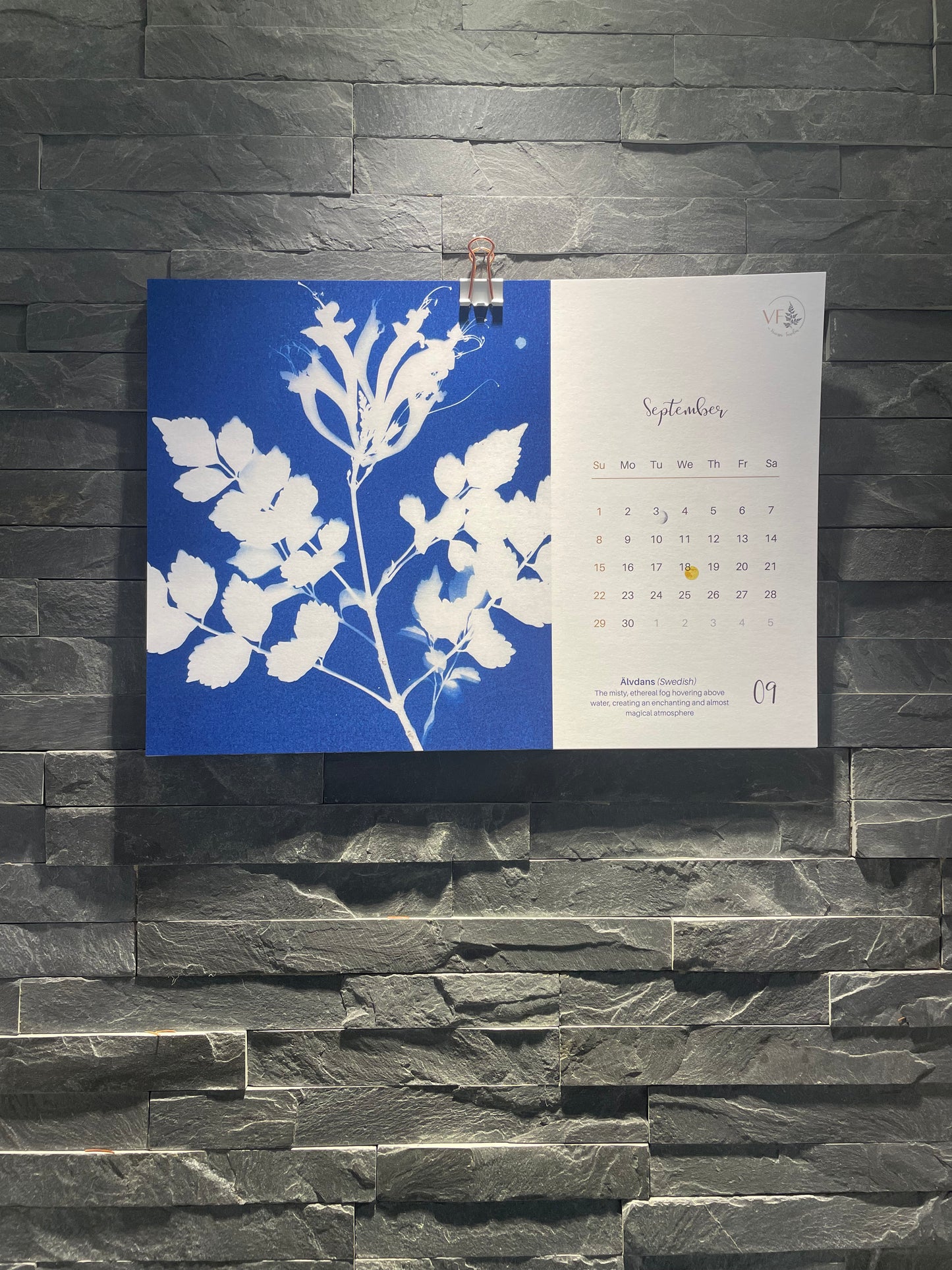 Calendrier de cyanotypes 2024