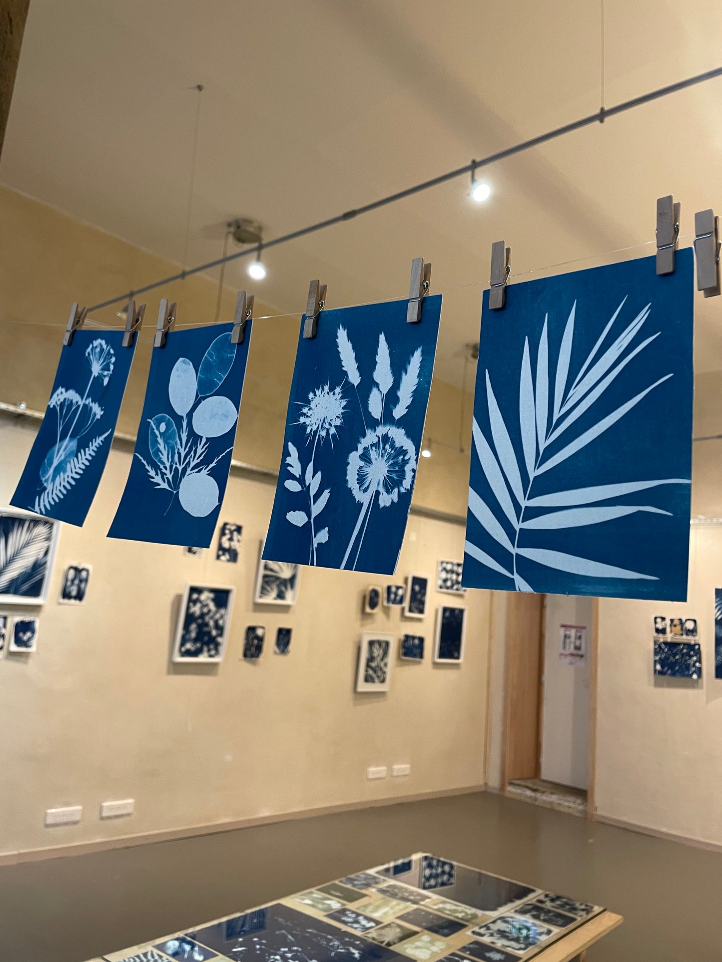 Cyanotype workshop