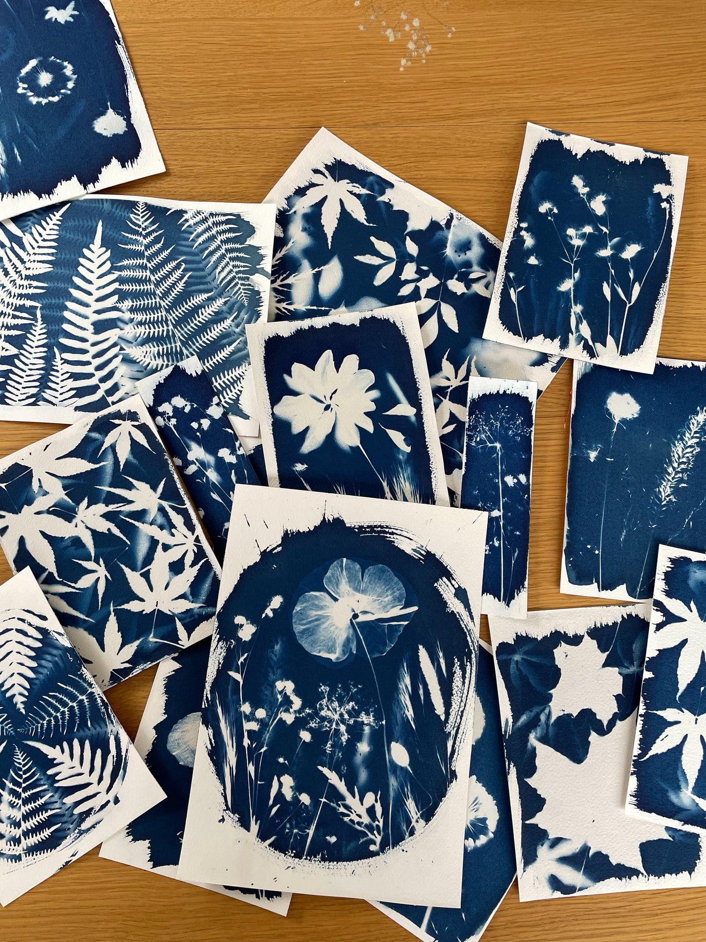 Cyanotype workshop