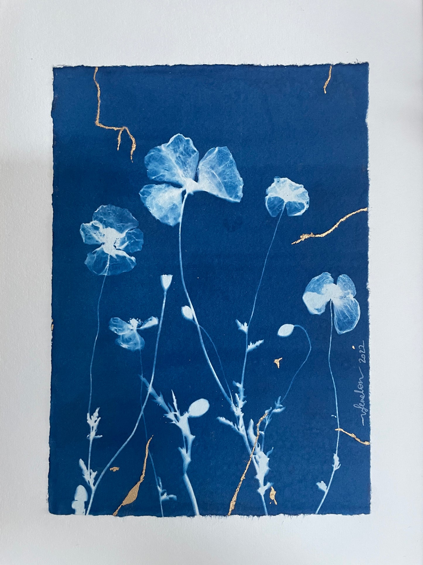 "La beauté à l'imparfait" Coquelicots 2