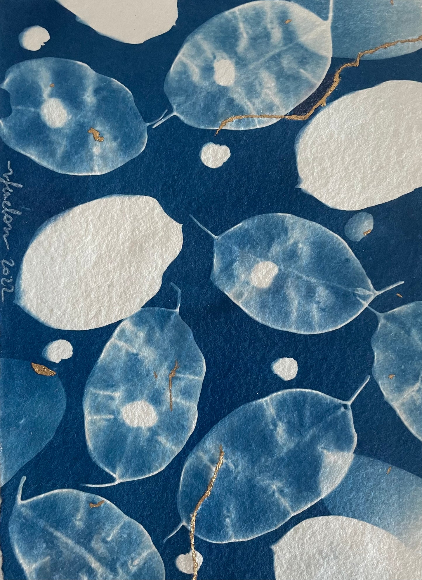 "La beauté à l'imparfait" Lunaria Annua 1