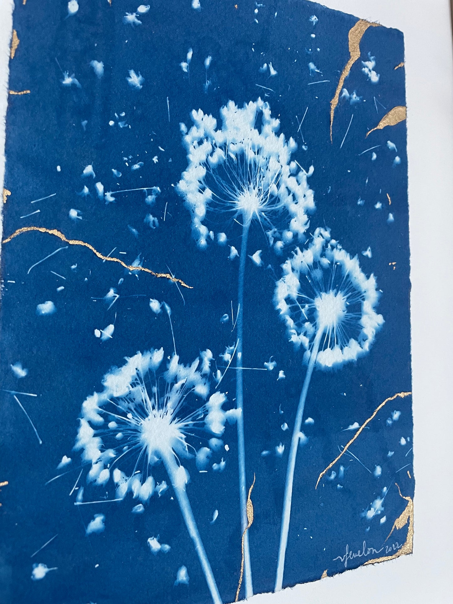 "La beauté à l'imparfait" Alliums 2