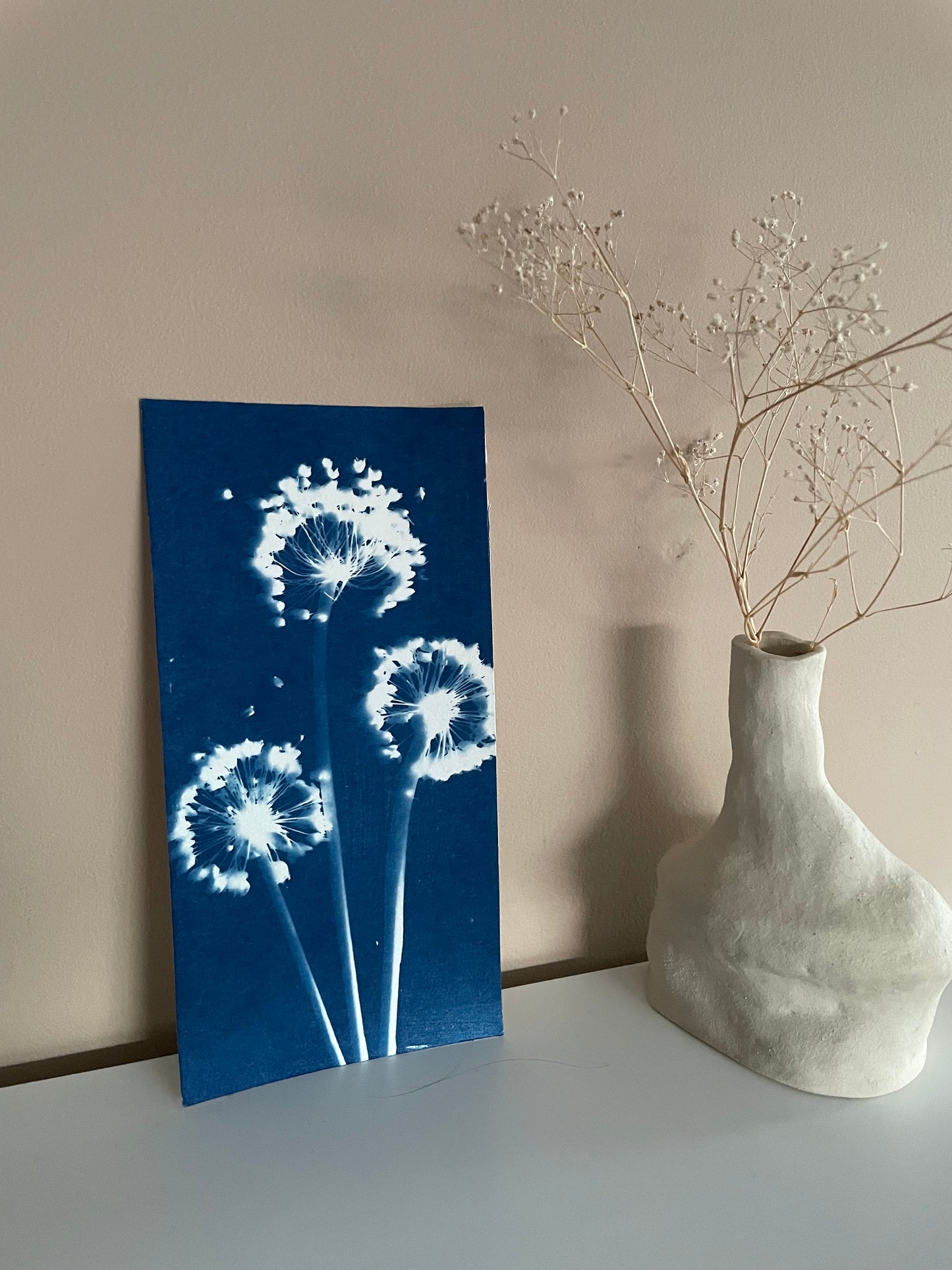 Dreamy alliums