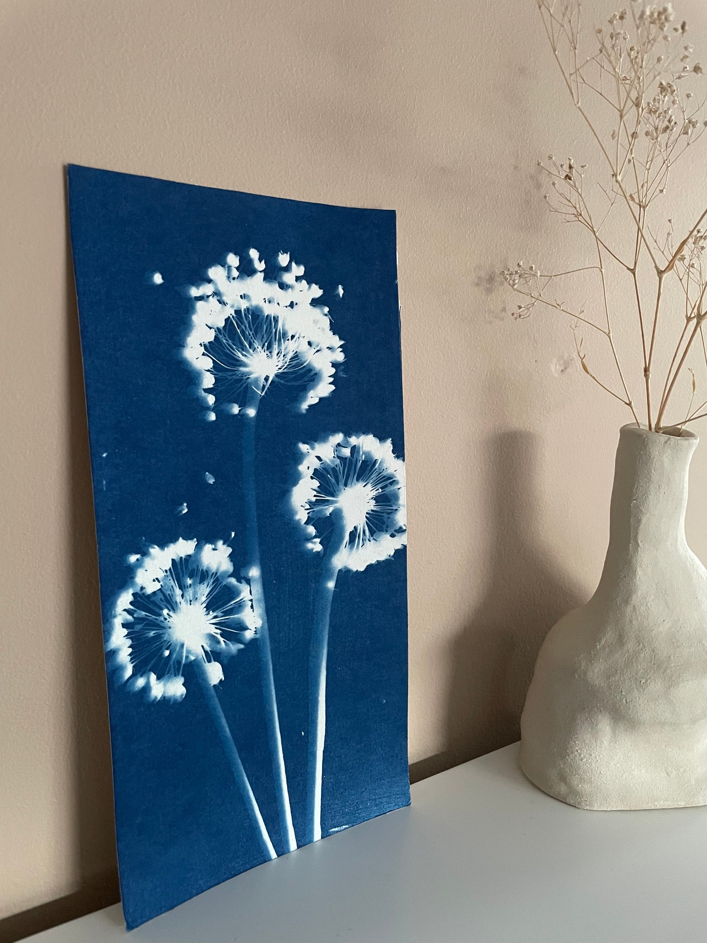 Dreamy alliums
