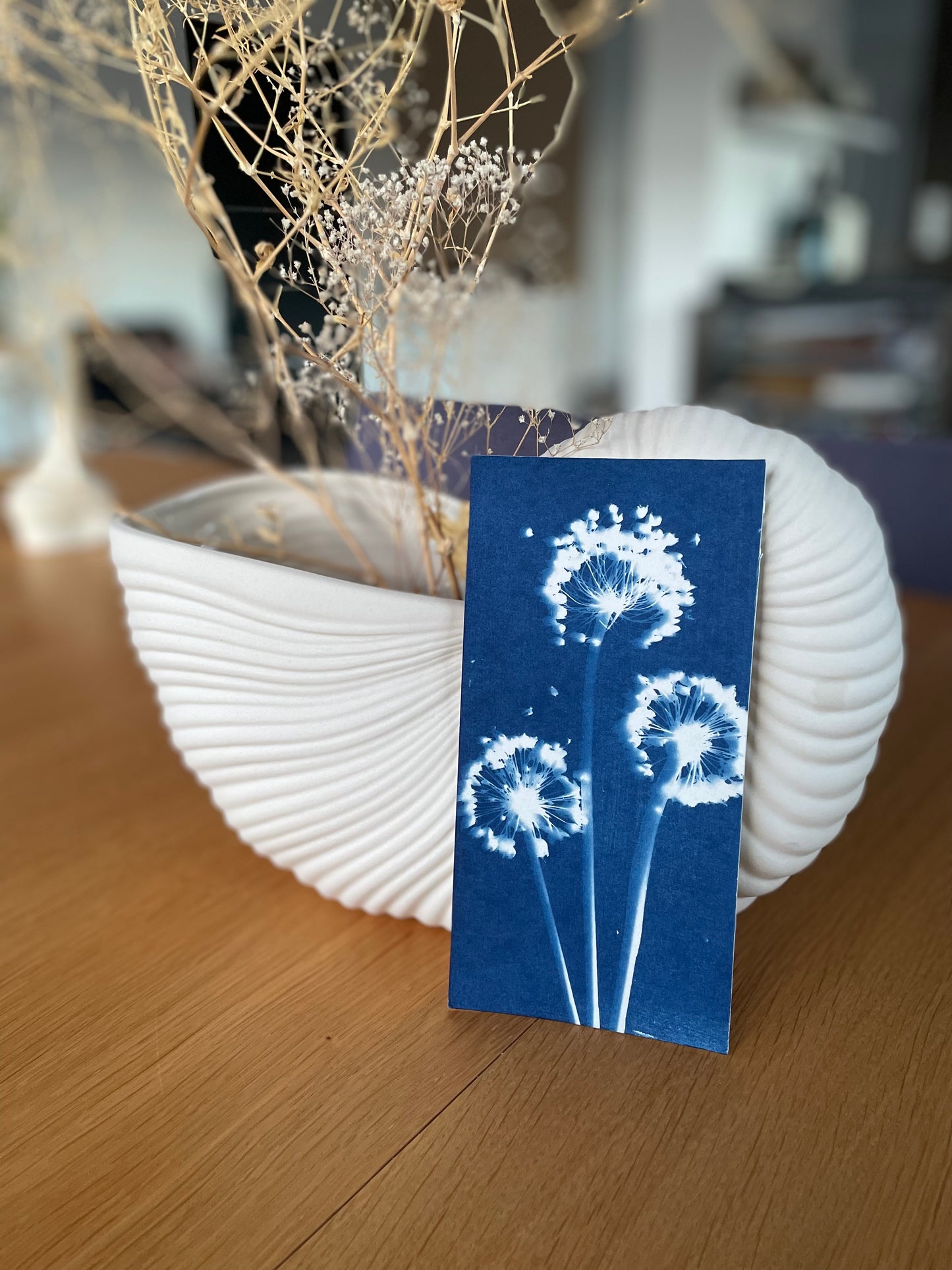 Dreamy alliums