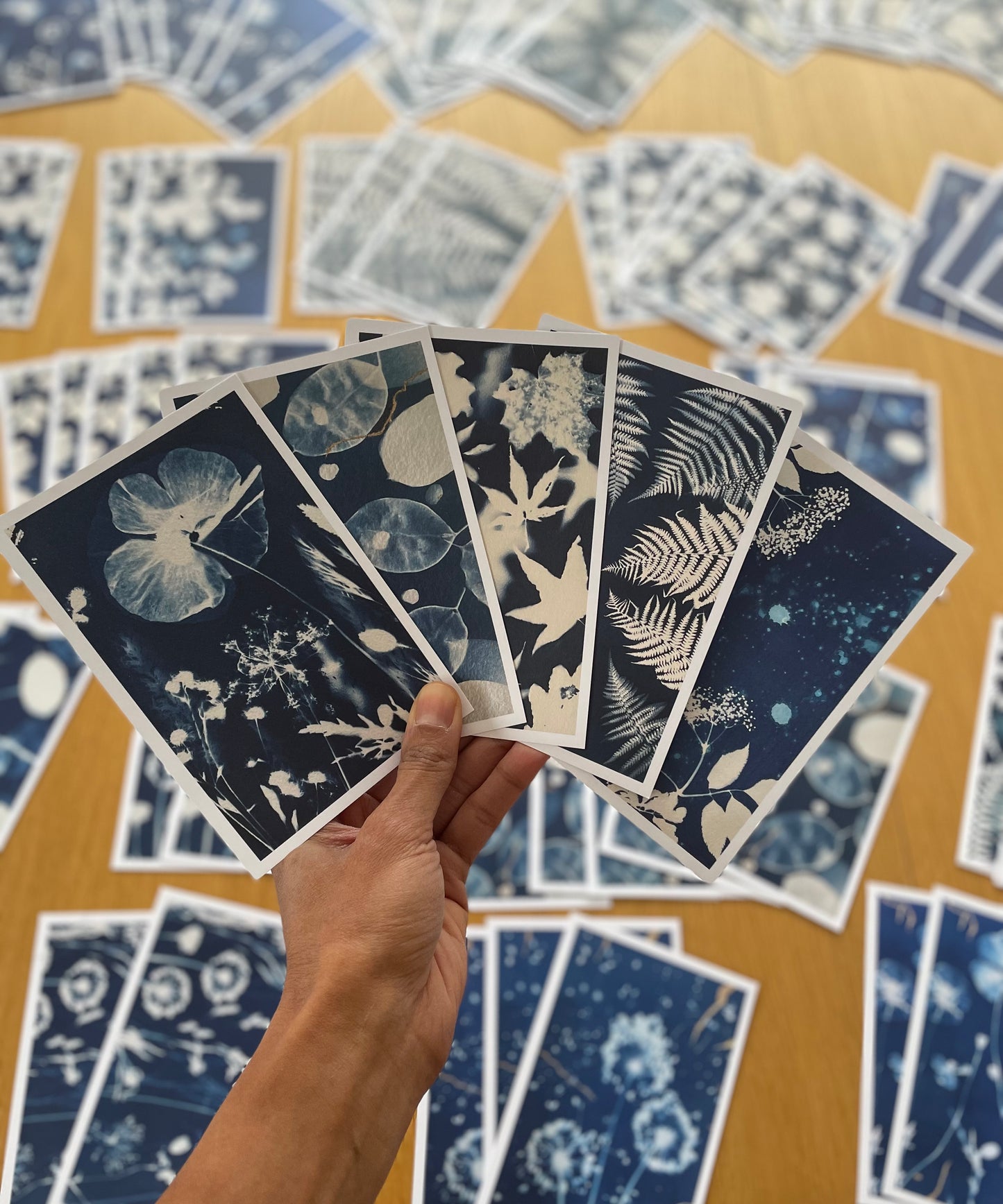 Lot de cartes cyanotypes - Set #1