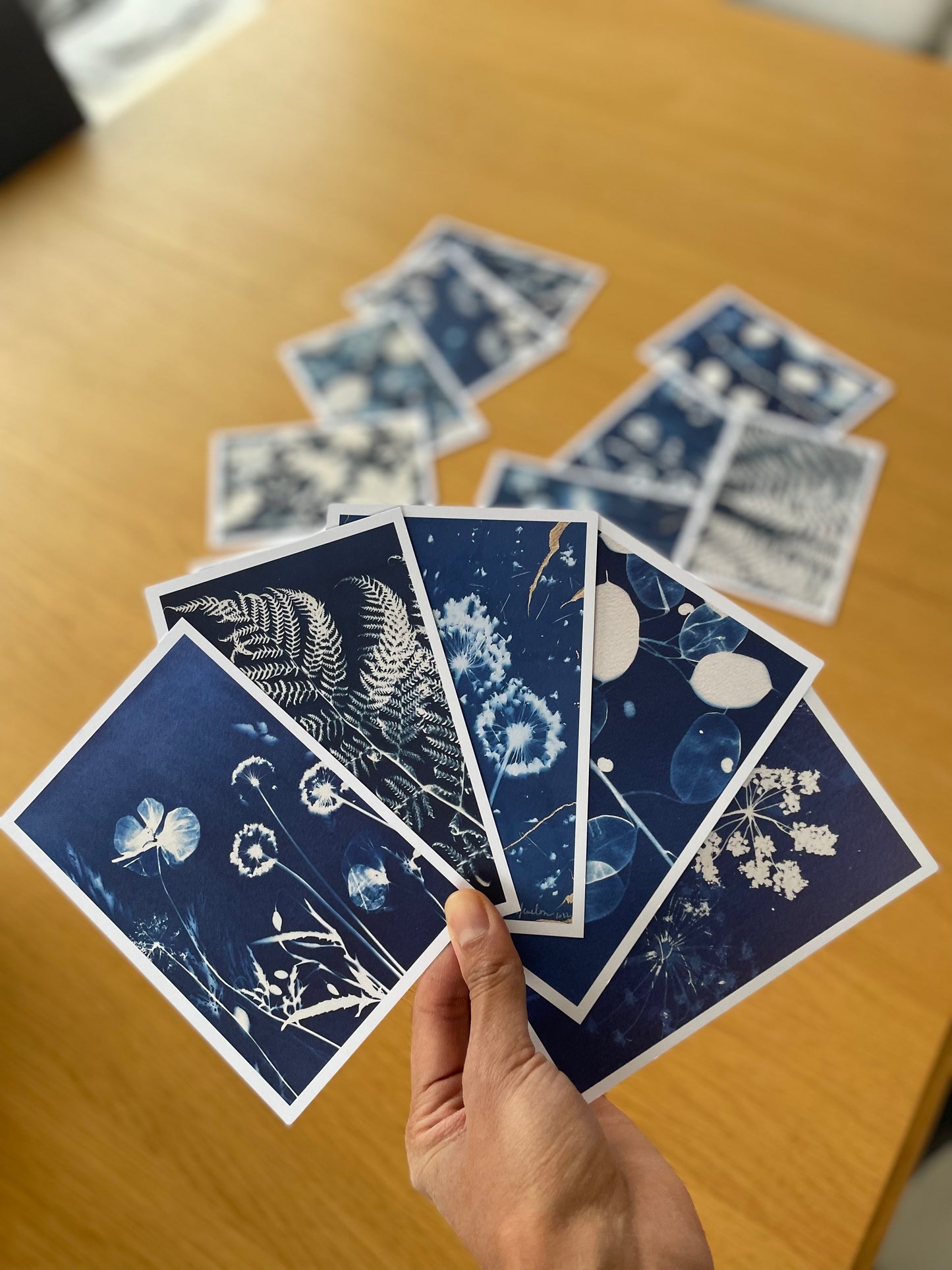 Lot de cartes cyanotypes - Set #2