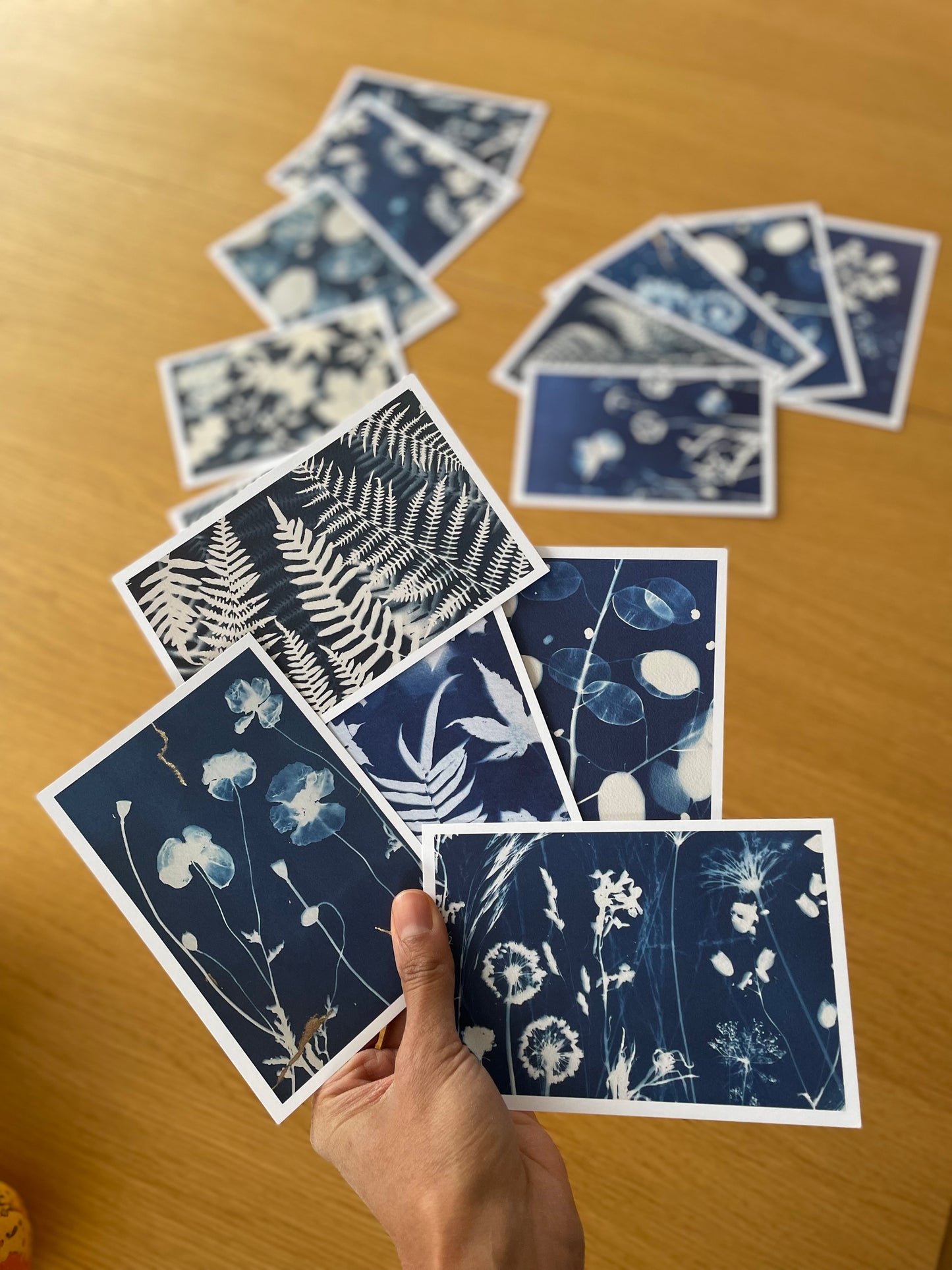 Lot de cartes cyanotypes - Set #3