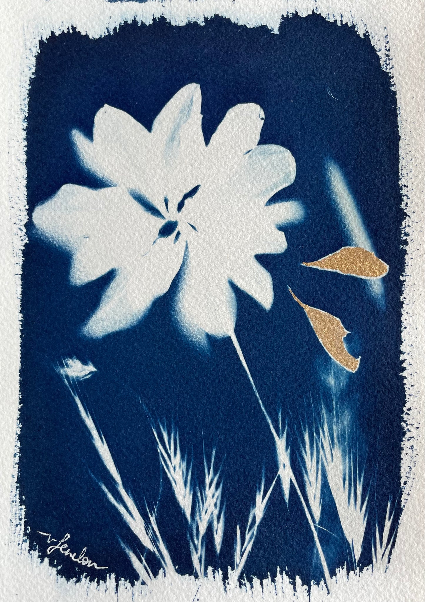Golden petals