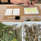 Cyanotype workshop