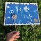 Cyanotype workshop