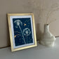 « Beautifully Imperfect" Alliums 1