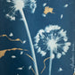 « Beautifully Imperfect" Alliums 1