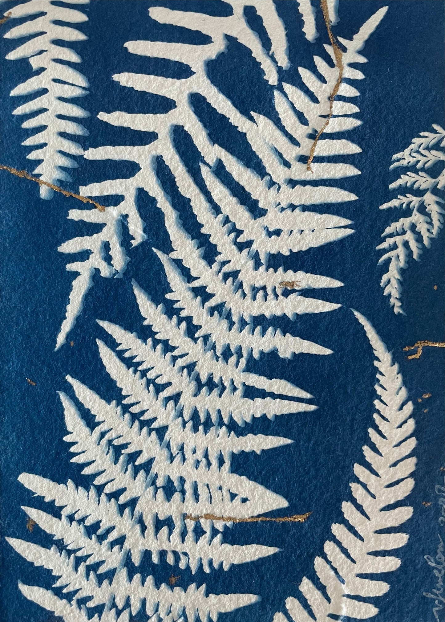 “Beautifully Imperfect" Ferns