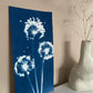 Dreamy alliums