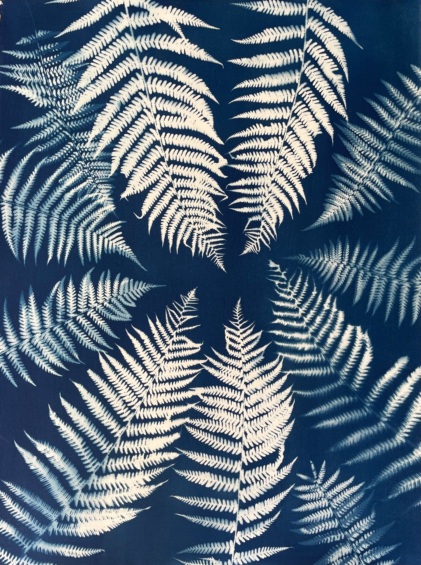 Mesmerizing Ferns - SOLD